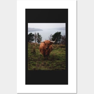 Moody Photograph of Highlands cattle with fjord in the back Posters and Art